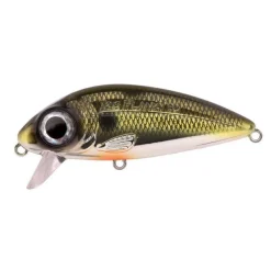 Leurres - SPRO Leurre Dur Jerkbait Iris Flanky 75, 13g