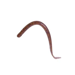 Leurres - REINS Leurre Souple Swamp Eel 16.5cm