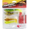 Leurres - BERKLEY Leurre souple shad carnassier kit verticale fishing