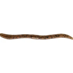 Leurres - ILLEX Leurre Souple Worm Flick Shake 12cm (x8)