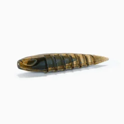 Leurres - NAYS Leurre Souple Worm ND 7.6cm (x6)