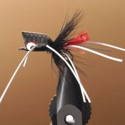 Mouches - JMC Mouche popper bass 22 t8
