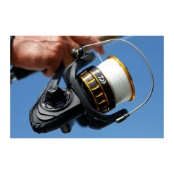 Pêche Aux Leurres|Moulinets - DAIWA Moulinet Bg Black Gold 6500