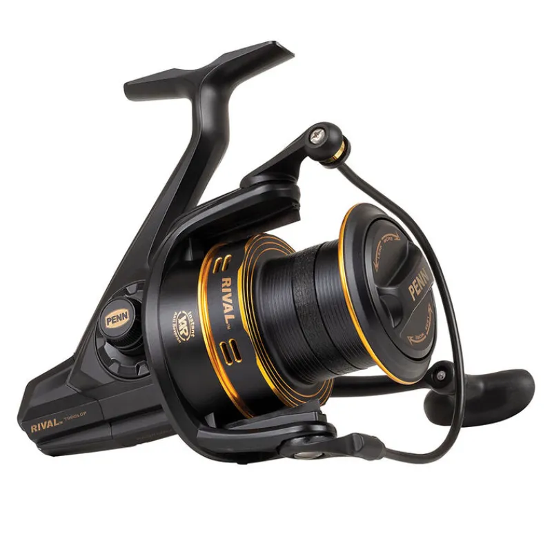 Surfcasting|Moulinets - PENN Moulinet surfcasting rival gold 6000lc