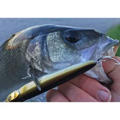 Packs Et Ensembles|Leurres - EVOK Pack 3 BEST leurres Loki Stick 110 SW