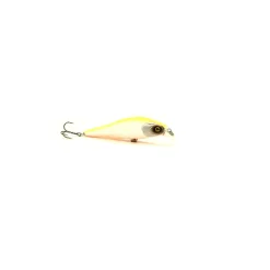 Packs Et Ensembles - BZONE Pack Eco Spinning Perche