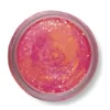 Appâts À Truite - BERKLEY Pâte à Truite PowerBait Cheese Sherbet Glitter