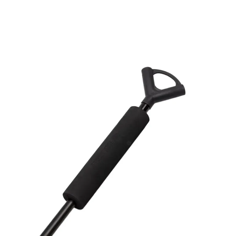 No Kill - PROLOGIC Épuisette C2 Element FS Landing Net and Float