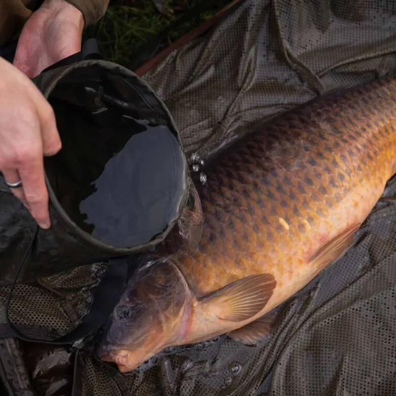 No Kill - KORDA Seau Compac Water Bucket