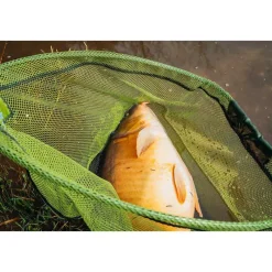 Épuisettes / Bourriches|Epuisettes / Bourriches - TEOS Tête d'épuisette Folding Net 650