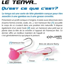 Pêche Au Tenya|Leurres - EXPLORER TACKLE Tête plombée magic tenya shallow coque