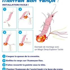 Pêche Au Tenya|Leurres - EXPLORER TACKLE Tête plombée magic tenya shallow coque