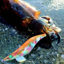 Pêche Eging|Leurres - YAMASHITA Turlutte mer egi sutte r 2.5 10cm 10g