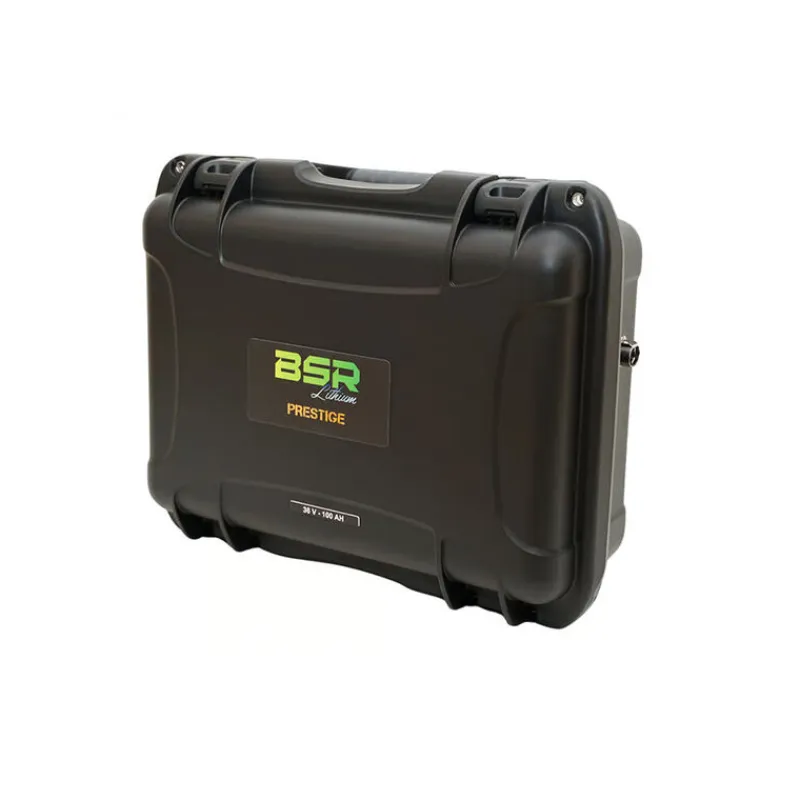 Batterie - BSR Valise PRESTIGE LifePo4 Gen3 36V/100Ah + chargeur non étanche 15A